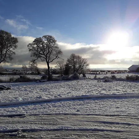 Panzió Cherrytree House 4*