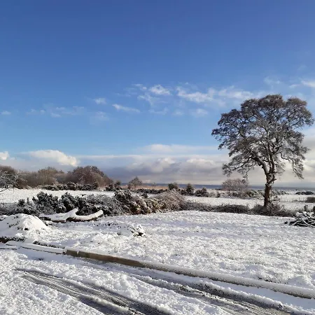 Cherrytree House Panzió 4*