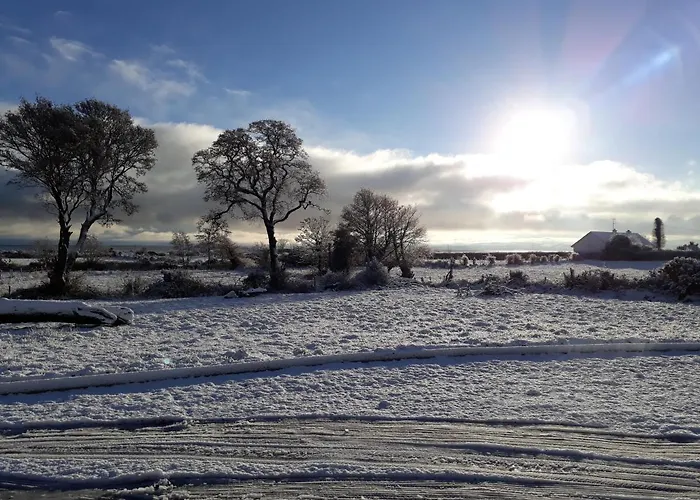 B&B Cherrytree House 4*