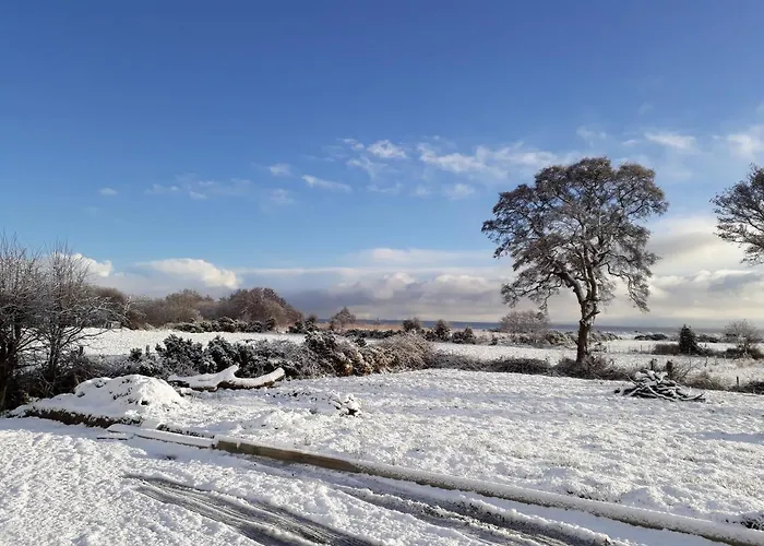 Cherrytree House Bed & Breakfast 4*